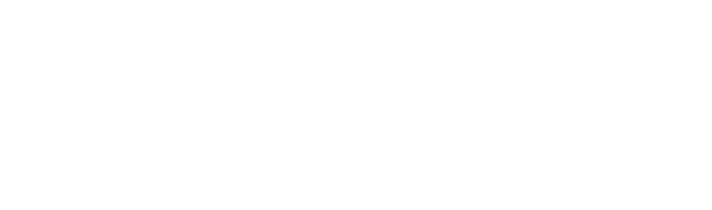 DoubleView-Logo-blanc